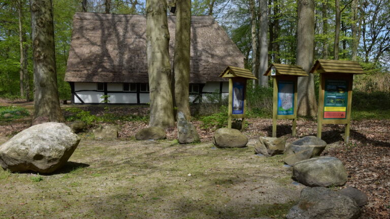 fruehling_2023_02