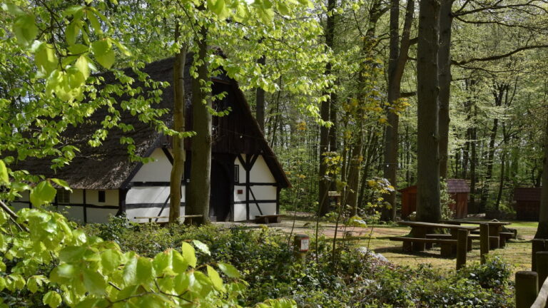 fruehling_2023_04