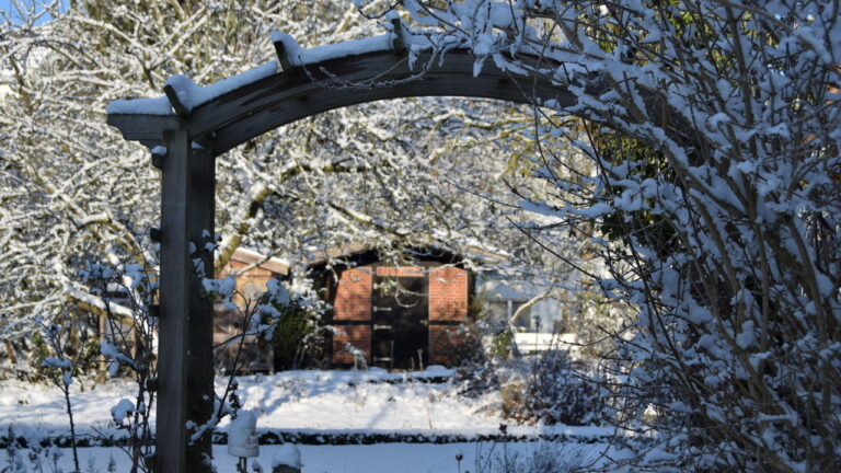winter2022_02