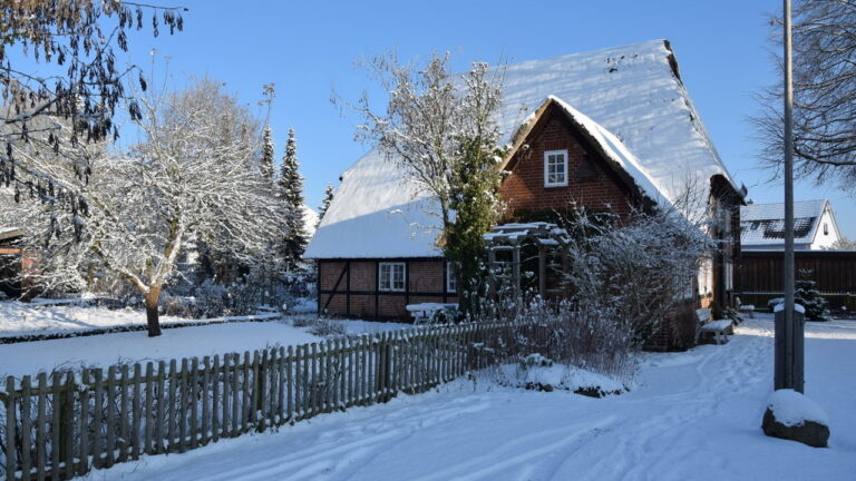 winter2022_03