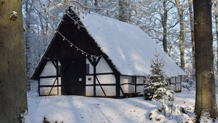 winter2022_05