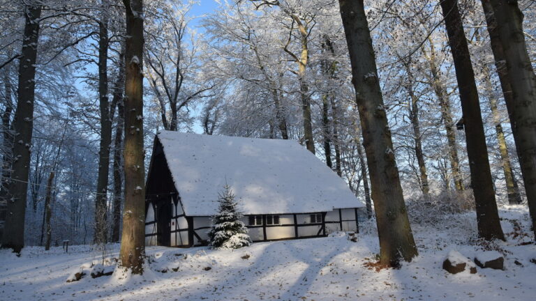 winter2022_06